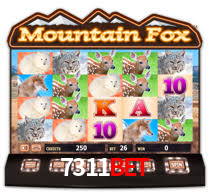 Programa VIP 7311bet